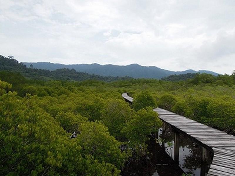 The Mangrove Hideaway Kohchang Ко Чанг Экстерьер фото